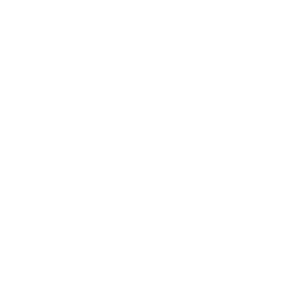 Национальная студенческая лига воздушно-силовой атлетики